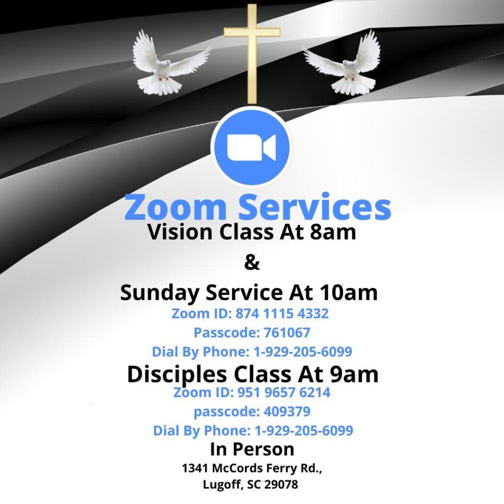 Zoom Services